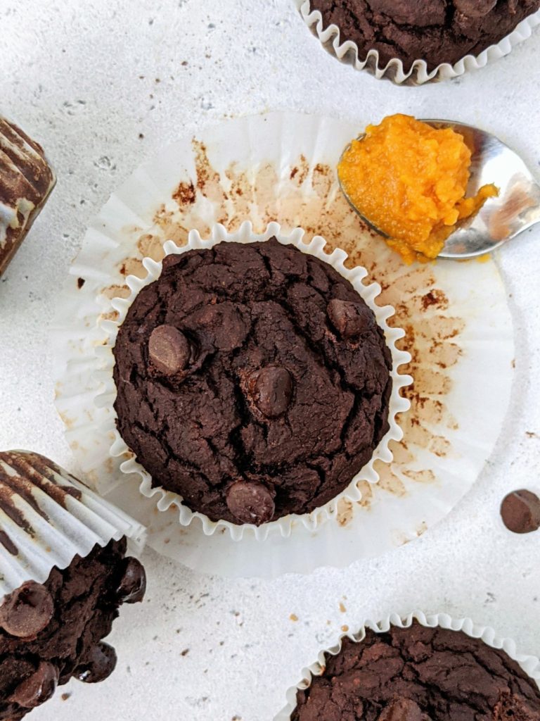 Indulgent Whole Wheat Pumpkin Chocolate Muffins studded with chocolate chips. Moistened with just pumpkin puree and sweetened with sugar-free maple syrup, these healthy chocolate pumpkin muffins are the ultimate oil free and low calorie fall breakfast or dessert!